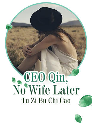 CEO Qin, No Wife Later